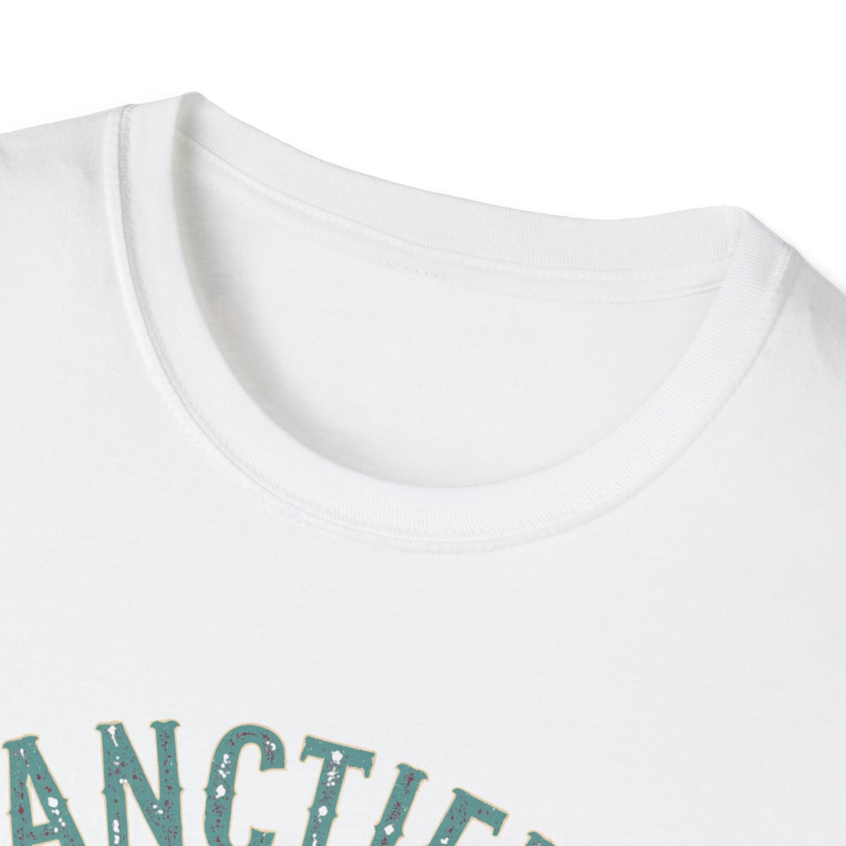 Sanctified & Slightly Spicy T-Shirt — Christian Faith with Fun Attitude