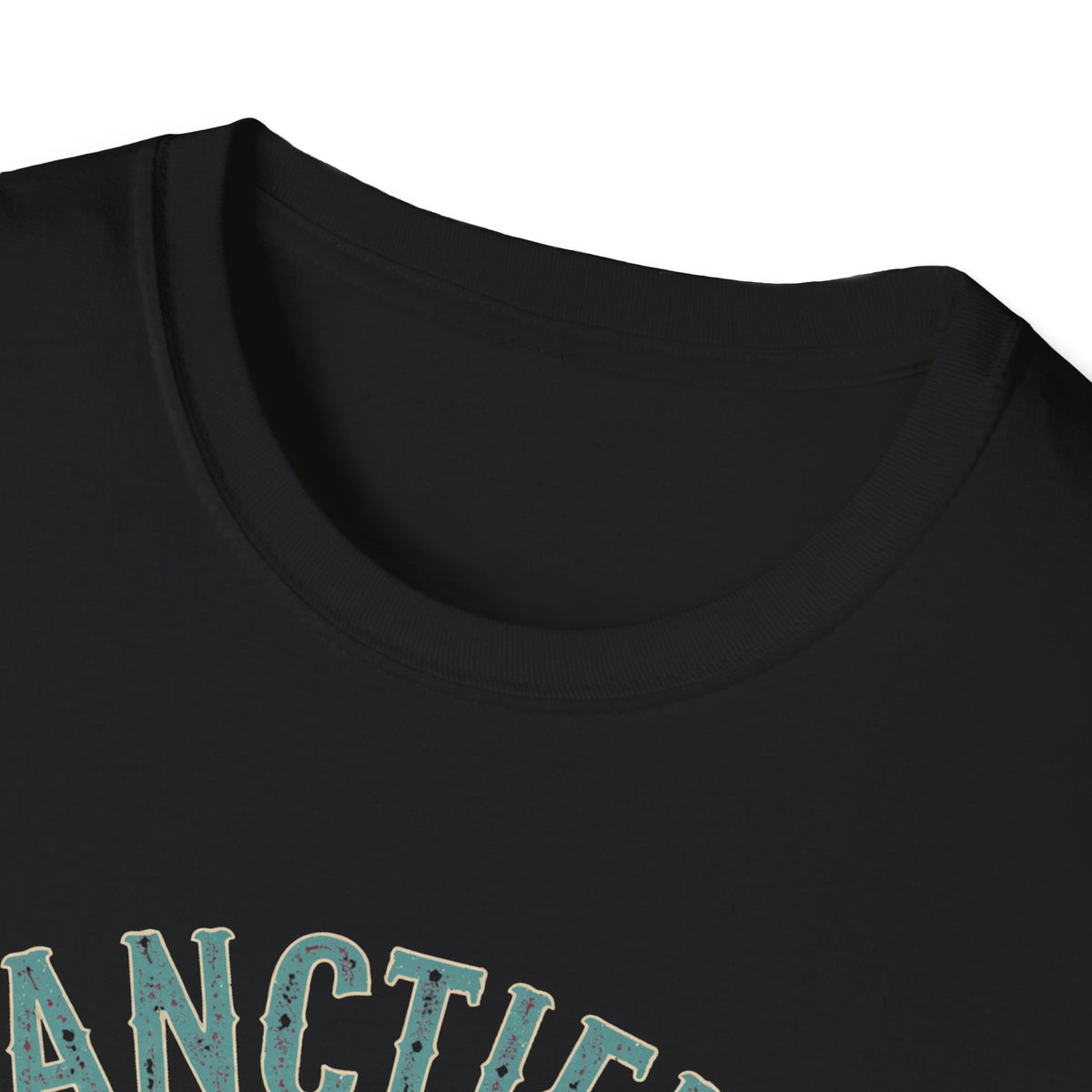 Sanctified & Slightly Spicy T-Shirt — Christian Faith with Fun Attitude
