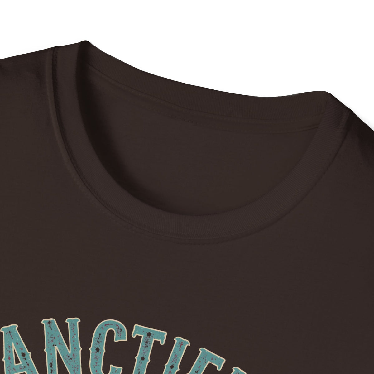 Sanctified & Slightly Spicy T-Shirt — Christian Faith with Fun Attitude