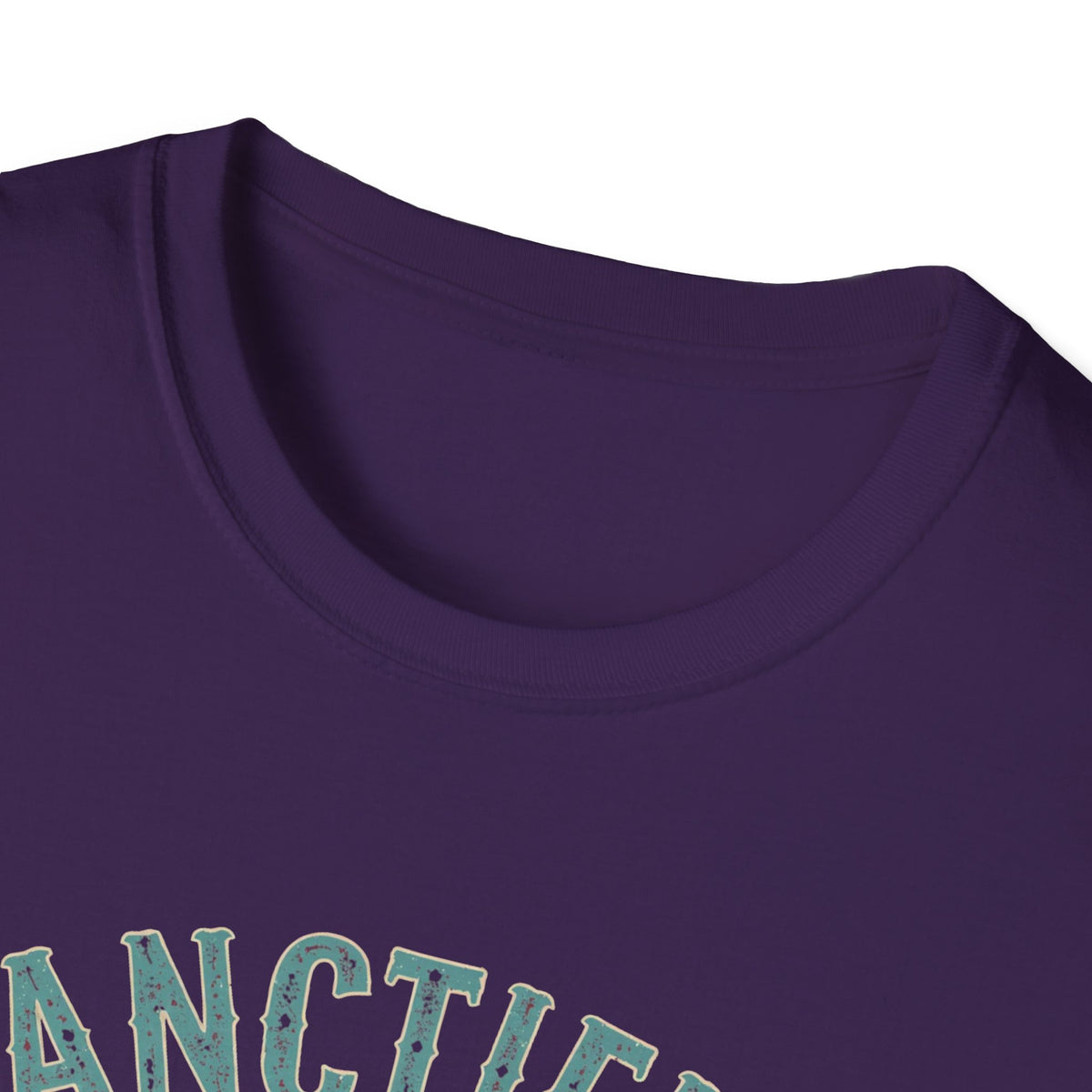 Sanctified & Slightly Spicy T-Shirt — Christian Faith with Fun Attitude